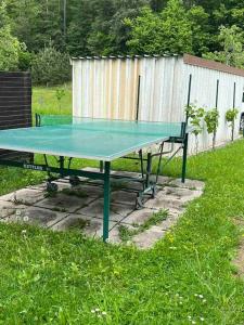 a green ping pong table in the grass at Charmantes Ferienhaus in bester Lage in Keutschach am See