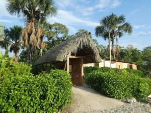 Cabaña pequeña con techo de paja en Coatí Lodge Misahuallí - FamiliyJungleParadise, en Puerto Misahuallí