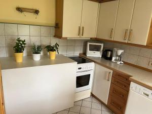 Charmantes Ferienhaus in bester Lage的厨房或小厨房