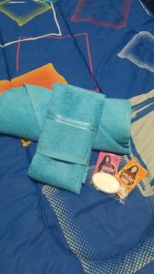 Eine blaue Decke mit einem Frisbee drauf. in der Unterkunft La Baquiana in Mercedes
