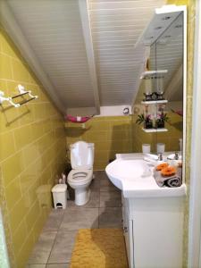 a bathroom with a toilet and a sink and a mirror at La mélodie des oiseaux in Grand-Bourg