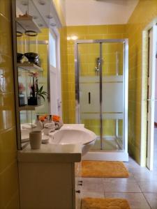 uma casa de banho com um lavatório e um chuveiro em La mélodie des oiseaux em Grand-Bourg
