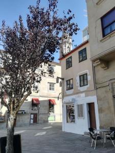 uma árvore em frente a um edifício com uma torre de relógio em Centro, Pleno Casco Vello, Wifi em Vigo