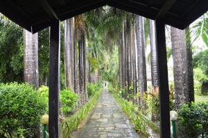 Um jardim no exterior de Chitwan Paradise Hotel