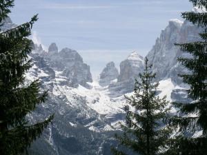 Campiglio Bilocale Monte Spinale في مادونا دي كامبيليو: اطلاله على جبل عليه ثلج