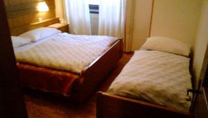 sypialnia z 2 łóżkami i oknem w obiekcie Campiglio Bilocale Monte Spinale w Madonna di Campiglio