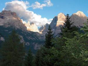 widok na pasmo górskie z drzewami na pierwszym planie w obiekcie Campiglio Trilocale Dolomiti w Madonna di Campiglio