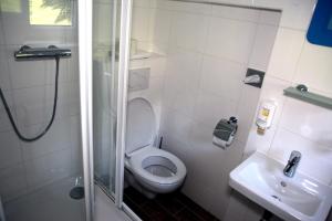 a bathroom with a shower and a toilet and a sink at Penzion Pod lesem in Pec pod Sněžkou +39 photos