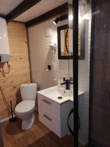 Kúpeľňa v ubytovaní Bieszczadzka Chatka- domek góralski
