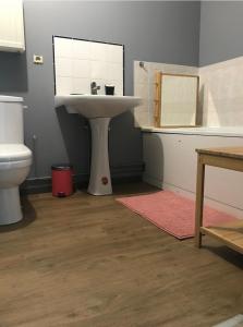 a bathroom with a sink and a toilet at Le Gîte d’Orpha in Gedinne