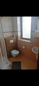 a bathroom with a toilet and a sink and a window at Villa meisterburg in Ściegny +20 photos