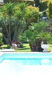 Basen w obiekcie Villa Victoria, Taormina lub w pobliżu