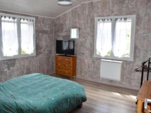 Vieille-BrioudeにあるL'estancoのベッドルーム(ベッド1台、テレビ、窓付)