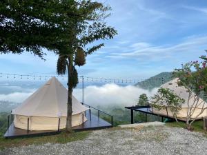 閣考島的住宿－Heaven Khaokho (เฮฟเว่น)，白色帐篷,配有桌子和树