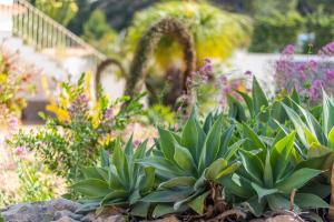 Vonkajšia záhrada v ubytovaní Merced Planta Baja