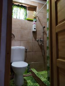 a bathroom with a toilet and a shower at Julianna Nyaraló in Csopak