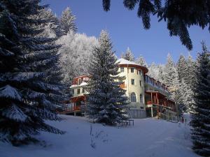 a large building in the snow with snow covered trees at Pension Casa Olga in Paraul Rece