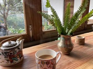 una mesa con una taza de café y un jarrón con una planta en Miknaon Farm Stay, en Pedong