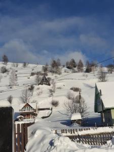 een met sneeuw bedekte heuvel met huizen en een hek bij "Файна хата" in Synevyrsʼka Polyana