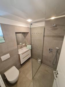 a bathroom with a shower and a toilet and a sink at Apartment-1 Rödermark in Rödermark