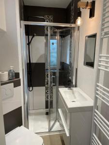 Un baño con ducha, inodoro y lavabo. en Apartmenthaus Elbblick, en Bad Schandau