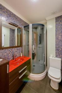 a bathroom with a shower and a toilet and a sink at Apartamento Céntrico Sibarys - 1 dormitorio- Calle Pintada in Nerja