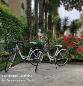 a bike parked next to a tree in front of a building at Hotel Villa Delle Palme in Venice-Lido