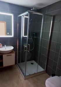 uma casa de banho com um chuveiro e um lavatório. em Chalet bois soleil em Les Mosses