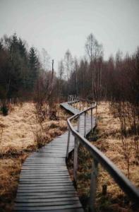 Příroda nedaleko apartmánu