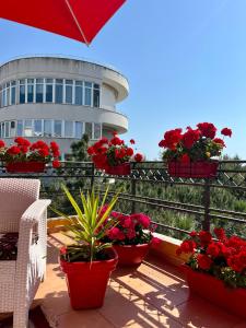 a balcony with red flowers and potted plants and a building at Don Robert Apartment in Durrës