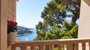 Gallery image of Villa Brela in Brela