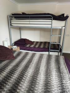 a bedroom with two bunk beds and a carpet at Honeysuckle Homestead in Dinton