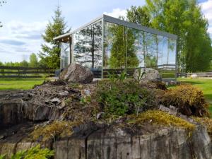 a glass house on a rock in a garden at Mirror house in Tīnūži
