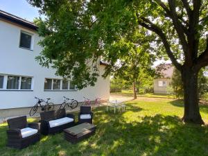 podwórze z drzewem, krzesłami i stołem w obiekcie BIKE & FUN Apartments - Balatonakarattya w mieście Balatonakarattya