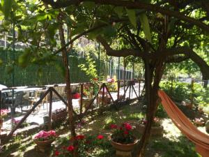 A garden outside Il Gelso