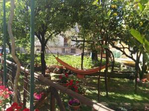 A garden outside Il Gelso