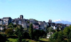 a group of houses on a hill with mountains in the background at Gîtes Saint-Pierre in Oloron-Sainte-Marie