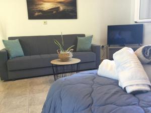 a living room with a bed and a couch at Vladimiros Apartments in Barbati