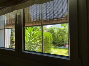 Vonkajšia záhrada v ubytovaní Electra Garden House