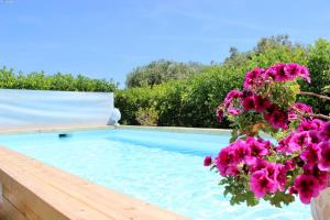 una piscina con fiori rosa accanto di Villa Marea - Relax & Pool a Polignano a Mare