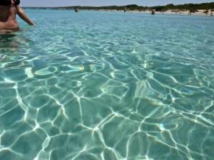 a person swimming in a body of water at Gallipoli Mancaversa Futura Vacanza Andrea in Marina di Mancaversa