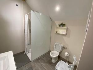 a white bathroom with a toilet and a shower at Chambre privative chez Toutoune in Fontainebrux