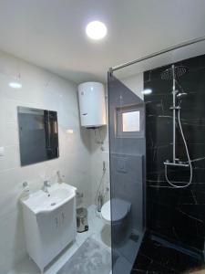 a bathroom with a sink and a shower and a toilet at Ceka Apartments in Ulcinj