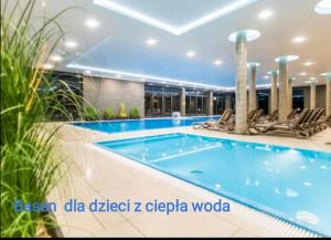 Bazén v ubytovaní Morze Kołobrzeg Basen kryty alebo v jeho blízkosti