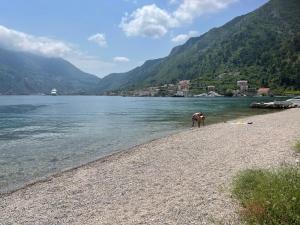 Paesaggio naturale nelle vicinanze dell'hotel