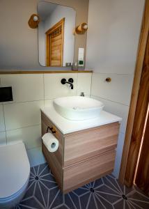 a bathroom with a sink and a toilet at Nad Poziomem in Radomice