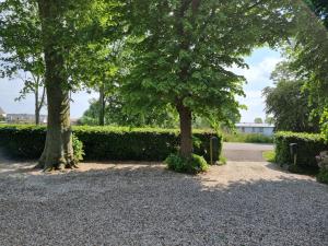 two trees and a gravel driveway with bushes at Het Voorhuis boerderij Hoeve Vrede Best in Weesp
