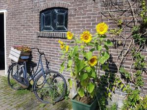 a bike parked next to a brick building with sunflowers at Het Voorhuis boerderij Hoeve Vrede Best in Weesp
