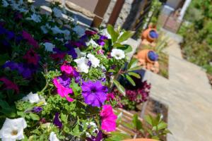 a bunch of colorful flowers in a garden at La Terra Petra in Skala Rachoniou