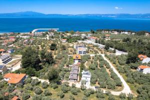 an aerial view of a house with trees and the water at La Terra Petra in Skala Rachoniou